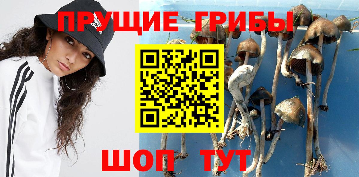 Псилоцибиновые грибы MAGIC MUSHROOMS  Вход с VPN  Ижевск 