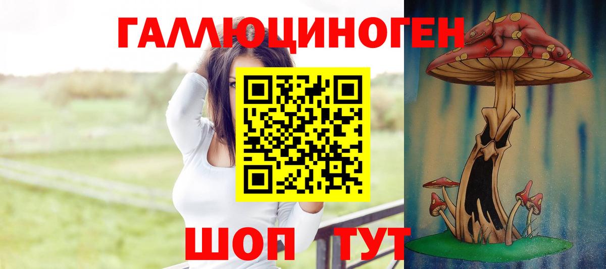 Галлюциногенные грибы Psilocybe Ижевск