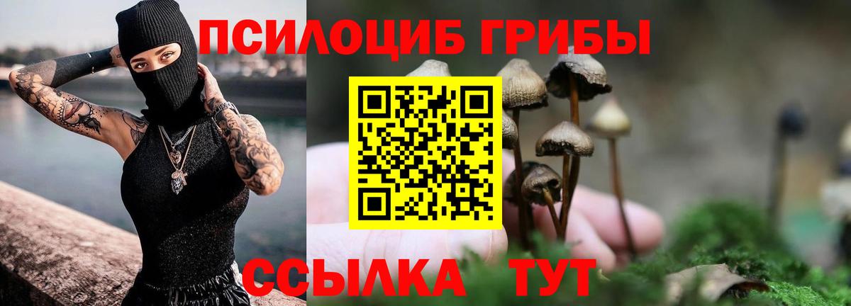 Меф Ижевск